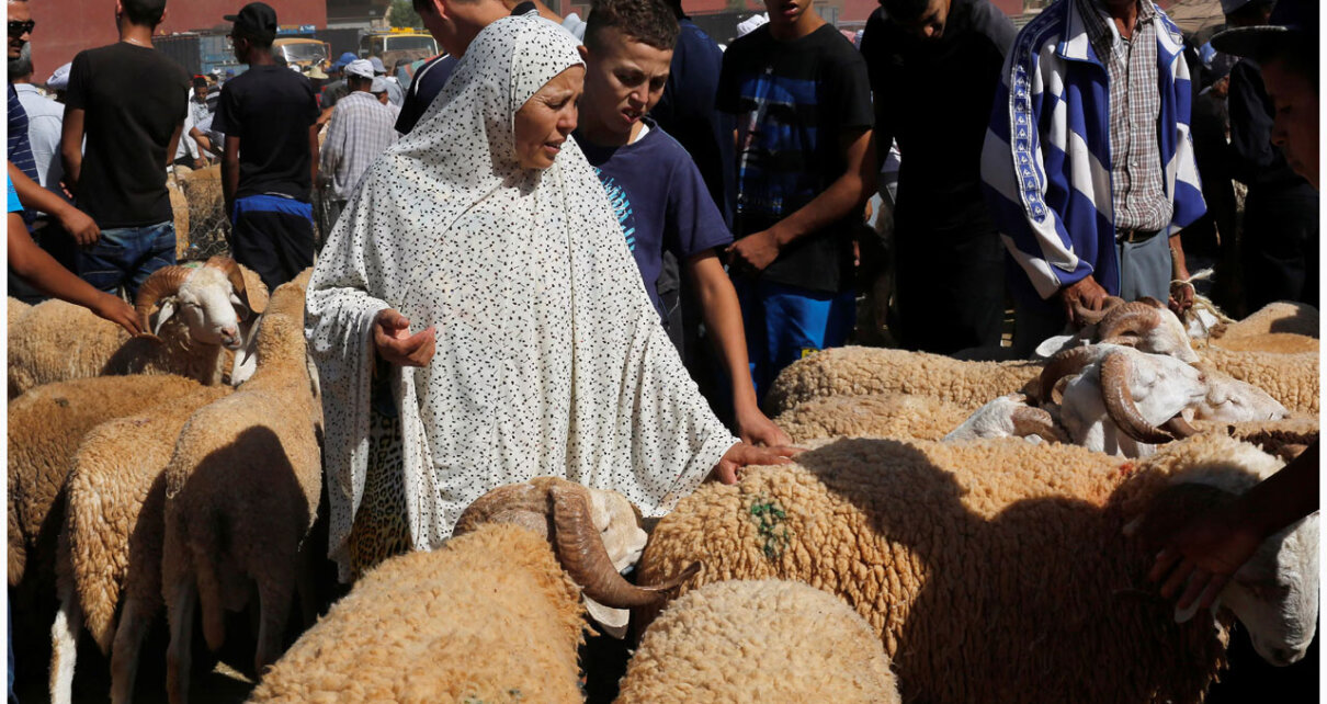 morocco-qurbani-bazar