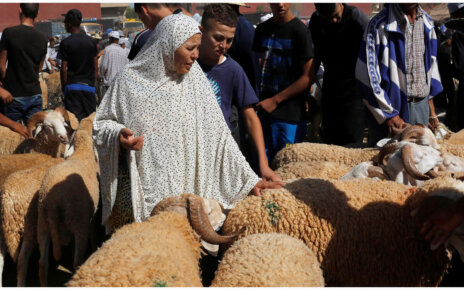 morocco-qurbani-bazar