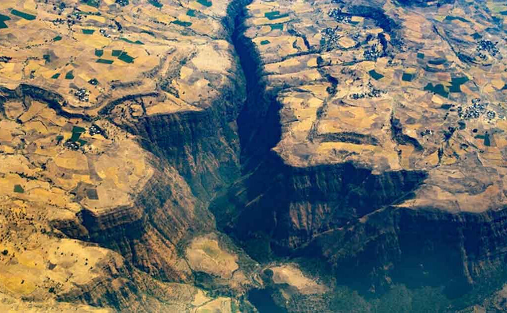 africa